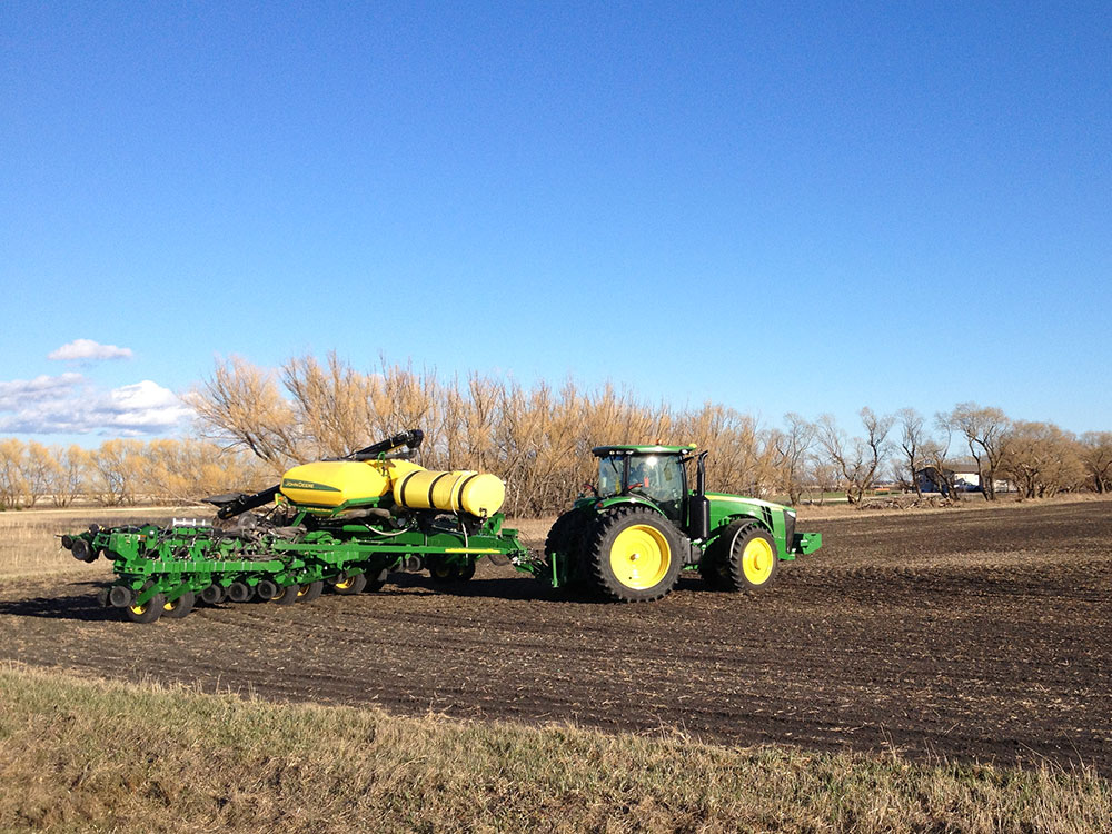 Services > Custom Planting
